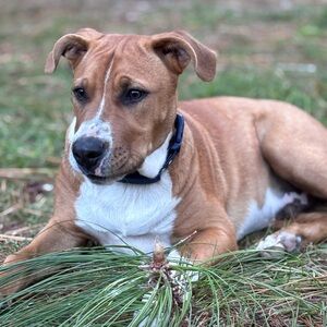 Meet your Posher, Tara